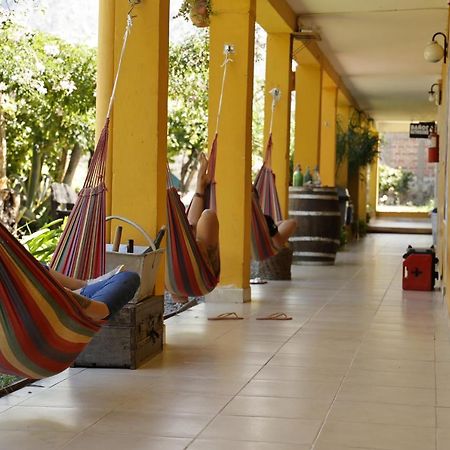 Hostel Lo De Chichi Cafayate Exterior photo